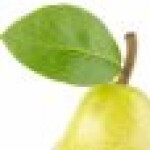 برگ درخت گلابی 