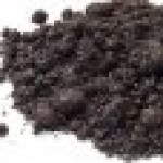 بوته وحشی جاوی 