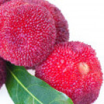 توت‌فرنگی چینی