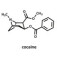 کوکائین