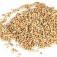 دانه غلات