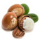 درخت روغن قلم