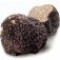 قارچ توبر 