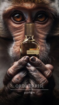 Risvelium ortoparisi 