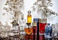 از کدوم برند بیشترین تعداد عطر رو دارید ؟