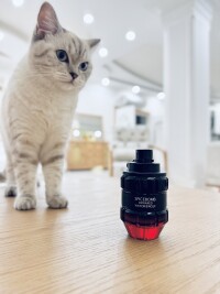 Spice Bomb(infrared)