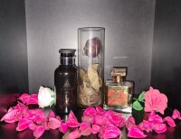 رز، گل محمدی، گلاب، گل سرخ