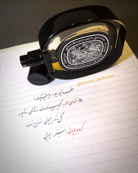 Vetyverio Eau De Parfum Diptyque