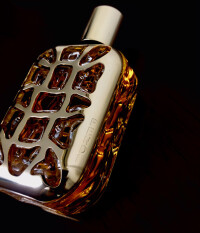 Gold vs Silver ⚱️🪙