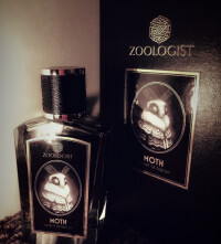 شمع و پروانه