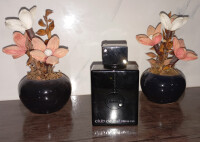 طرفدارهای خاص خودشو داره!