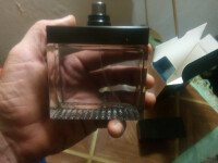 گس سداکتیو یک جنتلمن 