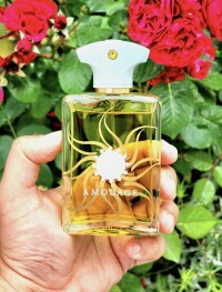 AMOUAGE - SUNSHINE MAN