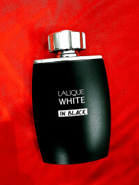 Lalique White In Black