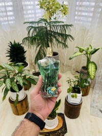 همراه بهاری من