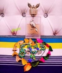 💫عقاب طلایی💫