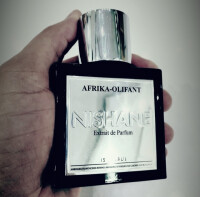 فیل افریقایی