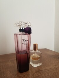 رز نیمه شبان