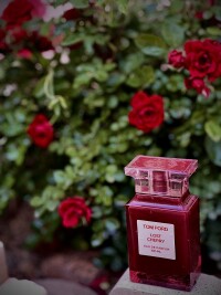 • CHERRY RED GARDEN 