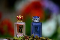 دولچه گابانا
