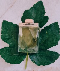 Salvatore Ferragamo pour Homme