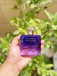 ناپلئون بناپارت
