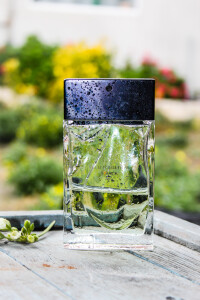 Starck peau dAilleurs