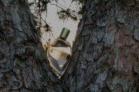 تابستان , آخرین نفس ها 