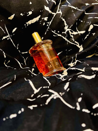 دیدن  زمین از ‌ماه 