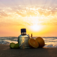 فوراِوِر... در زمان و مکانِ درست