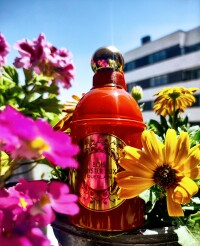 GUERLAN# BOIS MYSTERIEUX