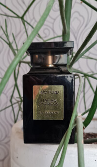 TOM FORD  ITALIAN CYPRESS