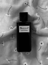 Brecourt Subversif 👌