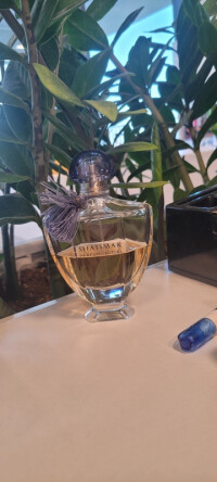 شالیمار پارفوم اینیشیال