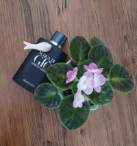 GIORGIO ARMANI - Acqua di Giò Profondo