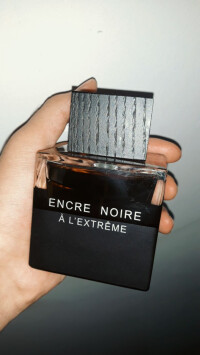 چوبی بالزامیک، دارک!