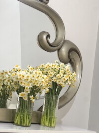 خوشبوترین گل