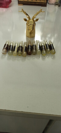 عید خود را چگونه گذارنده اید؟ با تست این کوچولوها