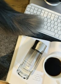 کوچه رو به دریا