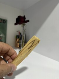 سانتال این بو رو می ده!