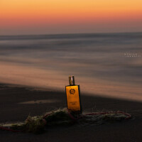 روی تور، لبِ ساحل!