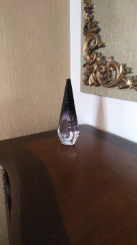 یکه تاز و بی نظیر