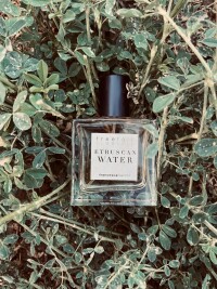 Francesca Bianchi - Etruscan Water