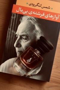 آوازهای فرشته بی بال