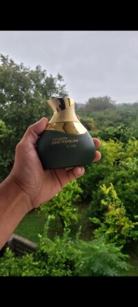 دیتور اکو 💚🌳🌲