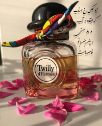 همه چیز از عطرها شروع می شود. از رایحه ها❣