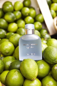 دولچه گابانا لایت بلو اینتس مردانه