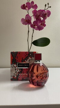 زیبا، سرکش و سرشار از حس زندگی 