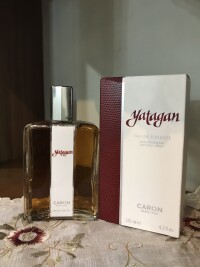 کارون یاتاقان..شاهکارِ انیمالیک..جنگل کاج..کلاسیکِ مدرن…