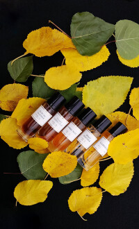 توفانِ رنگ و رنگ